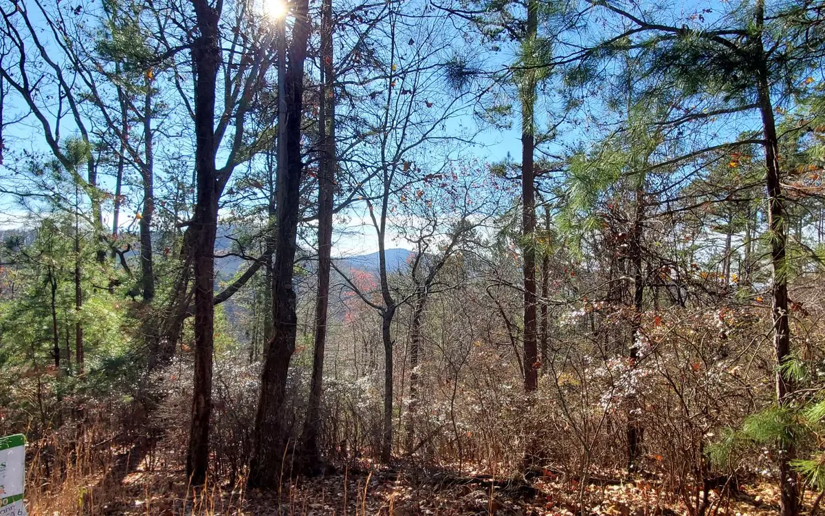 Ranger, GA 30734,691 Railey Ridge