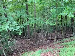 Ellijay, GA 30540,Lot 167 Tara Drive