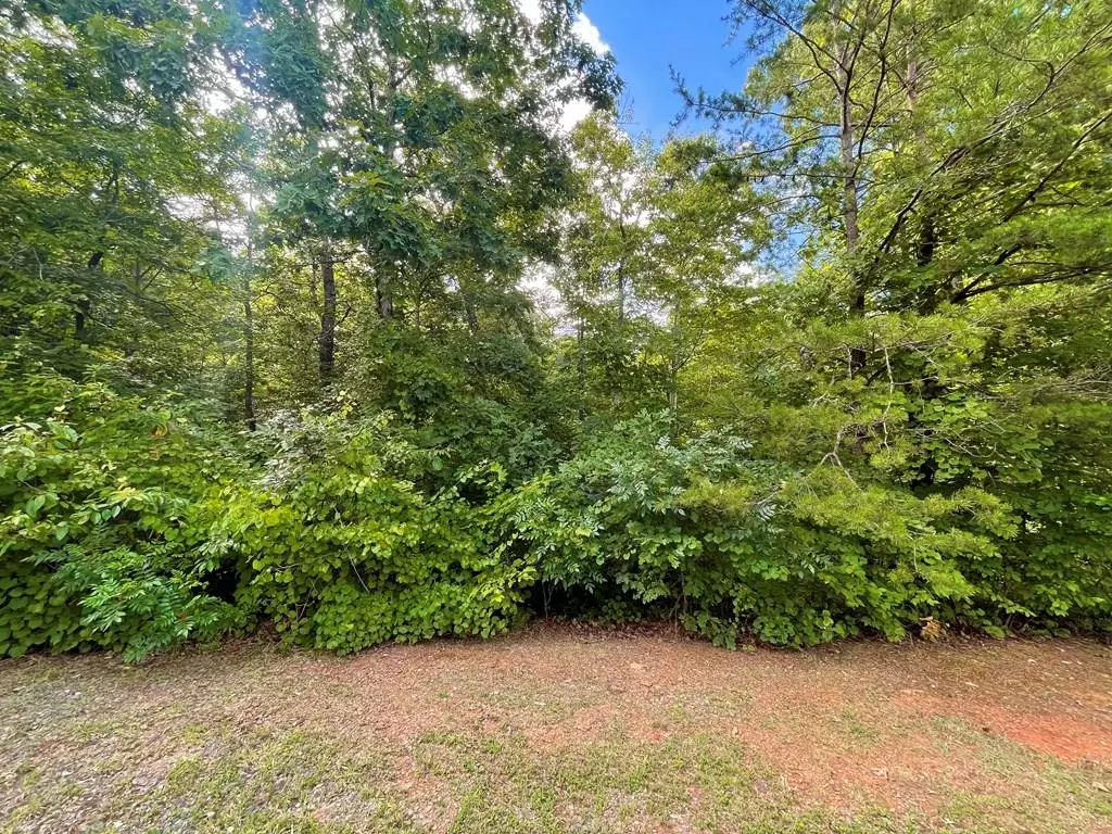 Ellijay, GA 30540,Lot 118 Beech Tree Drive