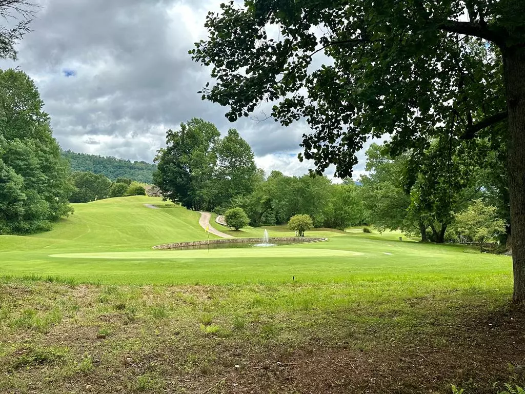 Hayesville, NC 28904,Lot 65C Mountain Harbour