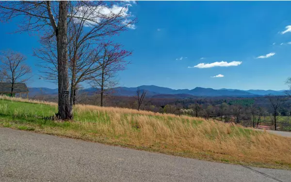 Hayesville, NC 28904,LOT20 Jack Groves Lane