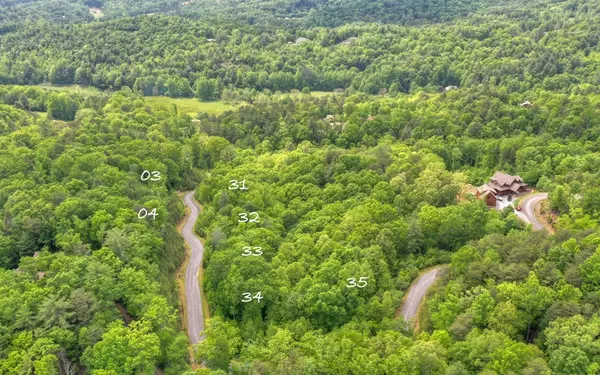 Ellijay, GA 30540,LT 18 Settlers Ridge Road