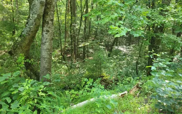 Ellijay, GA 30540,Lot 10 Quail Run Rd