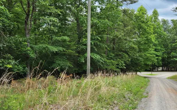 Alcan Way Lot 36, Ellijay, GA 30540