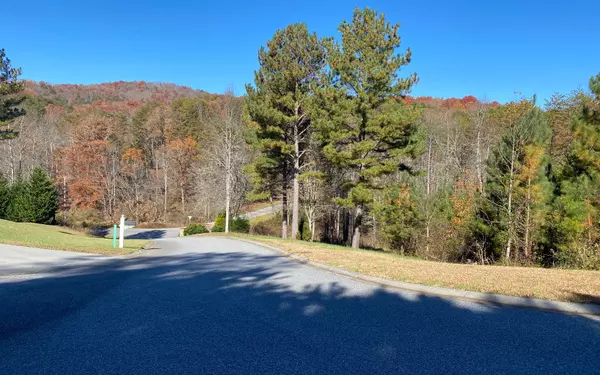 Blairsville, GA 30512,LOT 3 Pinehurst Road