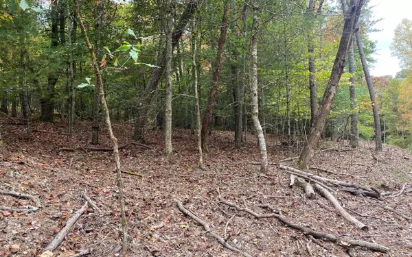 Blairsville, GA 30512,LOT 3 Notla Mtn Retreat