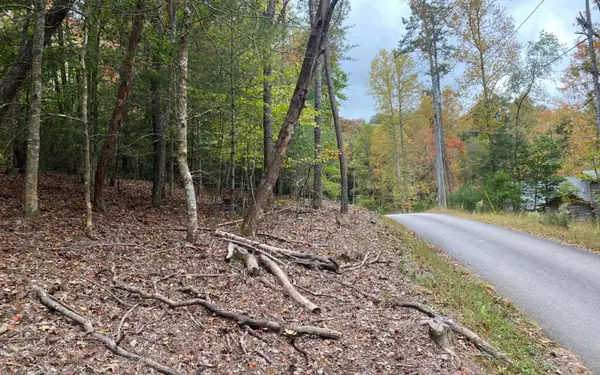 Blairsville, GA 30512,LOT 3 Notla Mtn Retreat