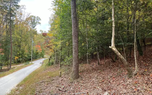 Blairsville, GA 30512,LOT 3 Notla Mtn Retreat