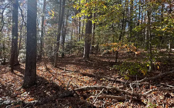 Blairsville, GA 30512,LOT 3 Piney Point Road