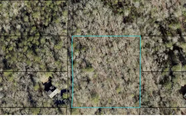 Blue Ridge, GA 30513,22&23 Mill Creek Acres