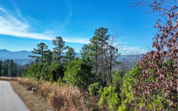 Blairsville, GA 30512,LOT10 Mile High Lane