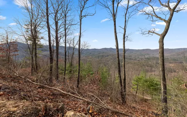 Blue Ridge, GA 30513,LT 32 Mount Pisgah Road