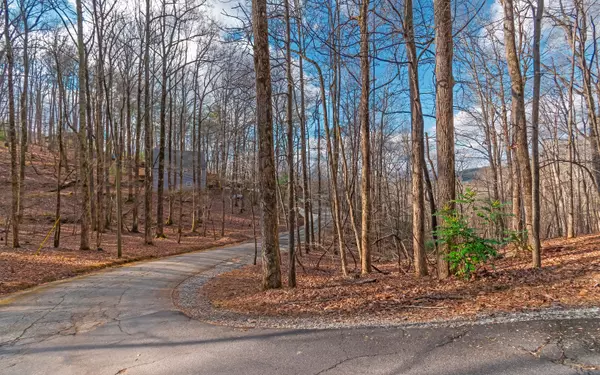 Ellijay, GA 30536,M26 Sleepy Hollow Road