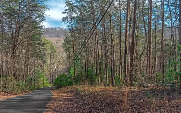 Ellijay, GA 30536,J237 Pine Ridge Road