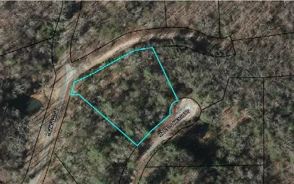 Hiawassee, GA 30546,LOT 5 Harris Heights Road