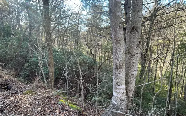 Hiawassee, GA 30546,LOT 5 Harris Heights Road