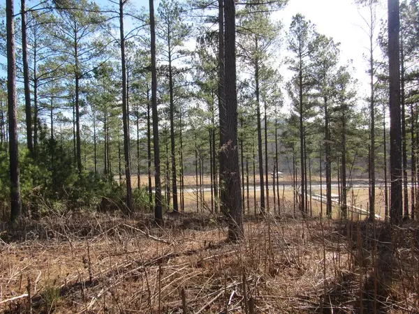 Blairsville, GA 30512,Lot 116 Sandy Lake Ln