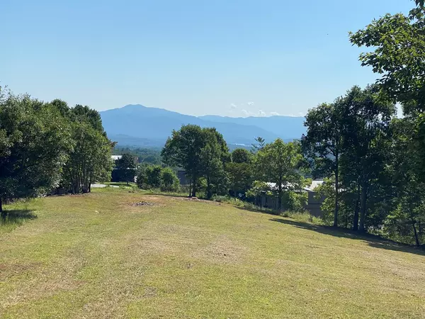 Hayesville, NC 28904,Lot 20 Smokerise