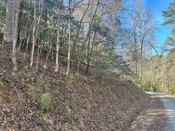 Ellijay, GA 30540,934 Lot Ezra