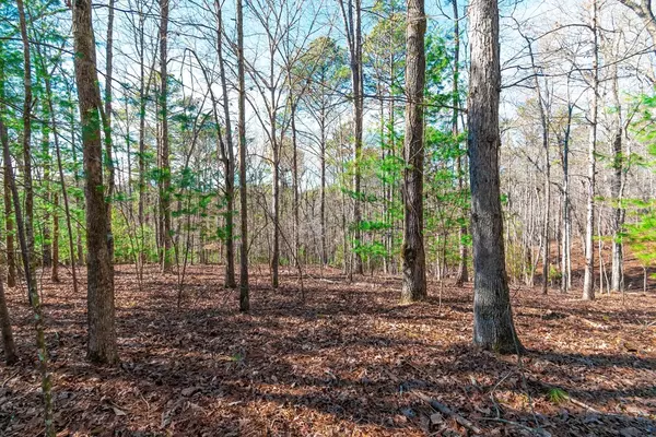 Talking Rock, GA 30175,Lot 138 Quail Run Court