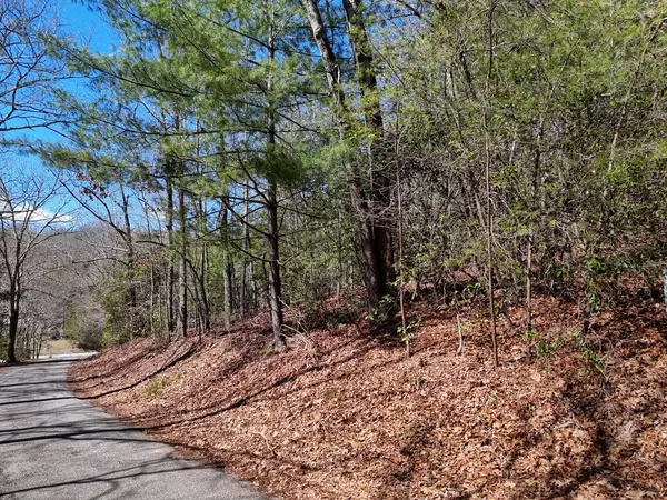 Hiawassee, GA 30546,Lot 3 Sunnyside Shores Drive