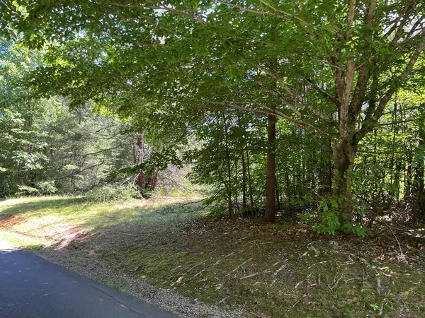 Hayesville, NC 28904,Lot 46A Licklog Ridge