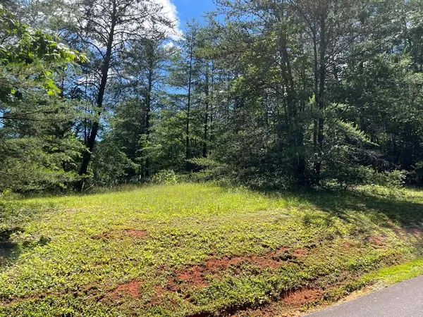 Hayesville, NC 28904,Lot 46A Licklog Ridge