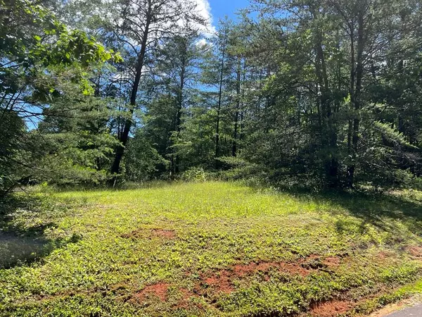 Hayesville, NC 28904,Lot 46A Licklog Ridge