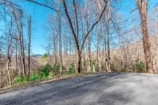 Mineral Bluff, GA 30559,Lot 43 Dusty Danno Trail