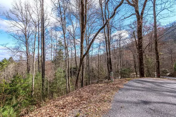 Mineral Bluff, GA 30559,Lot 43 Dusty Danno Trail