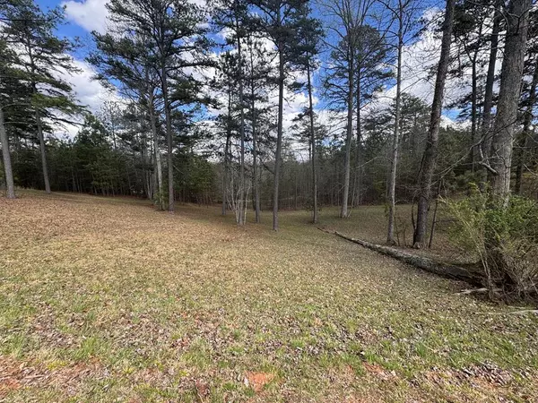 Blairsville, GA 30512,Lot 136 Fox Cove