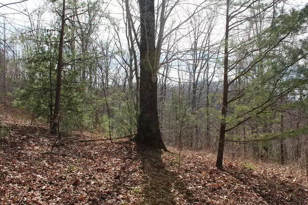 Hayesville, NC 28904,Lot 26 Shiloh Overlook