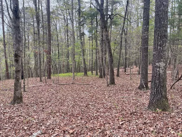 Clarkesville, GA 30523,Lot 4 Thistle Drive