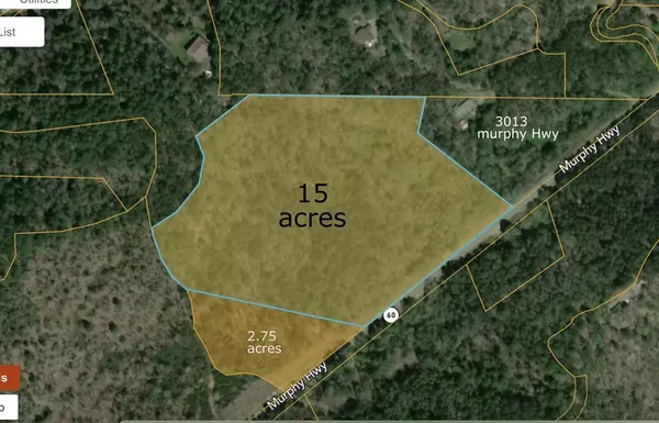 Mineral Bluff, GA 30559,0000 MURPHY HIGHWAY