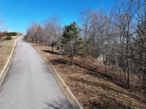 Blairsville, GA 30512,Lot 11 The Summit