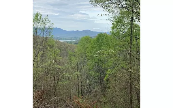 Hayesville, NC 28904,LT 10 High Meadows