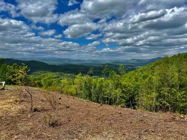 Murphy, NC 28906,Lot 11 Above the Clouds