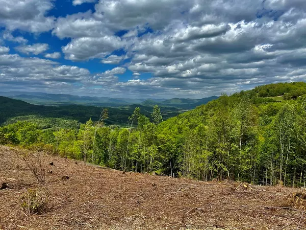 Murphy, NC 28906,Lot 11 Above the Clouds