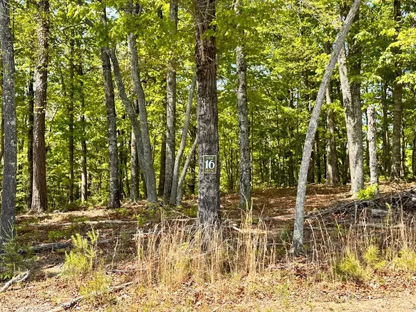 Hayesville, NC 28904,Lot 16 Settawig Overlook