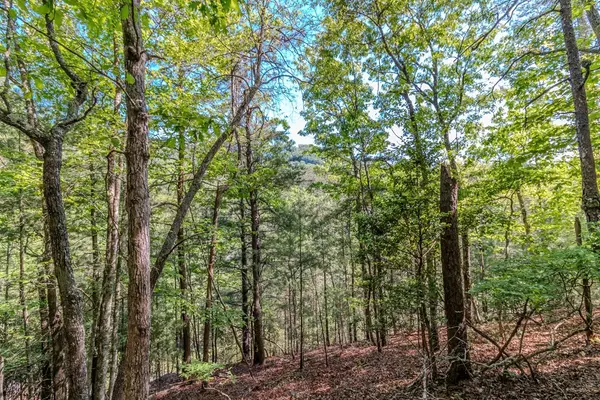 Mineral Bluff, GA 30559,Lot 87 Valley Lake Trail