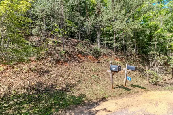 Mineral Bluff, GA 30559,Lot 87 Valley Lake Trail