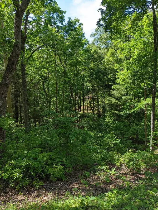 Murphy, NC 28906,Lot 1&2 Highland Road