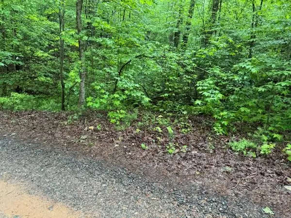 Ellijay, GA 30540,Lot 146 Garner Lane