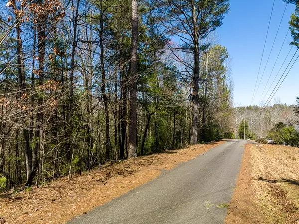 Ellijay, GA 30540,Lot 164 Shenendoa Drive