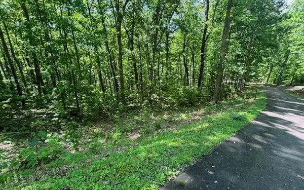 Young Harris, GA 30582,Lot 90 Rocky Knob