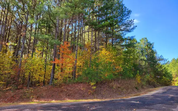 Ellijay, GA 30536,LOT 7 Ridge Top Drive