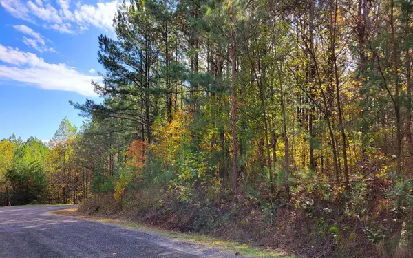 Ellijay, GA 30536,LOT 7 Ridge Top Drive