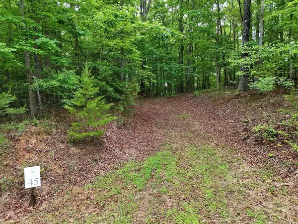 Blue Ridge, GA 30513,Lot 45 Cascading Brook Lane