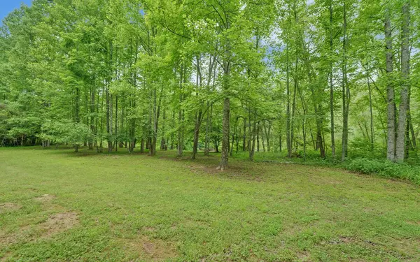 Blue Ridge, GA 30513,Lot 2 Hogback Drive