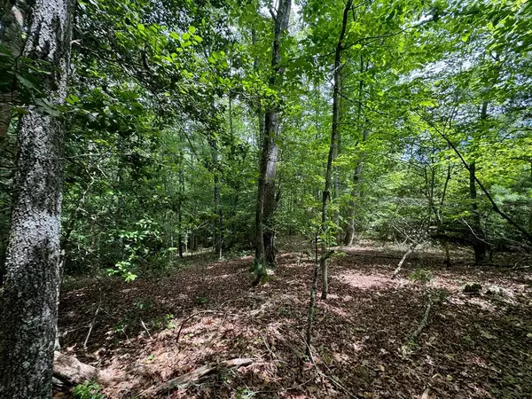 Murphy, NC 28906,31.42 ac Dotson Road